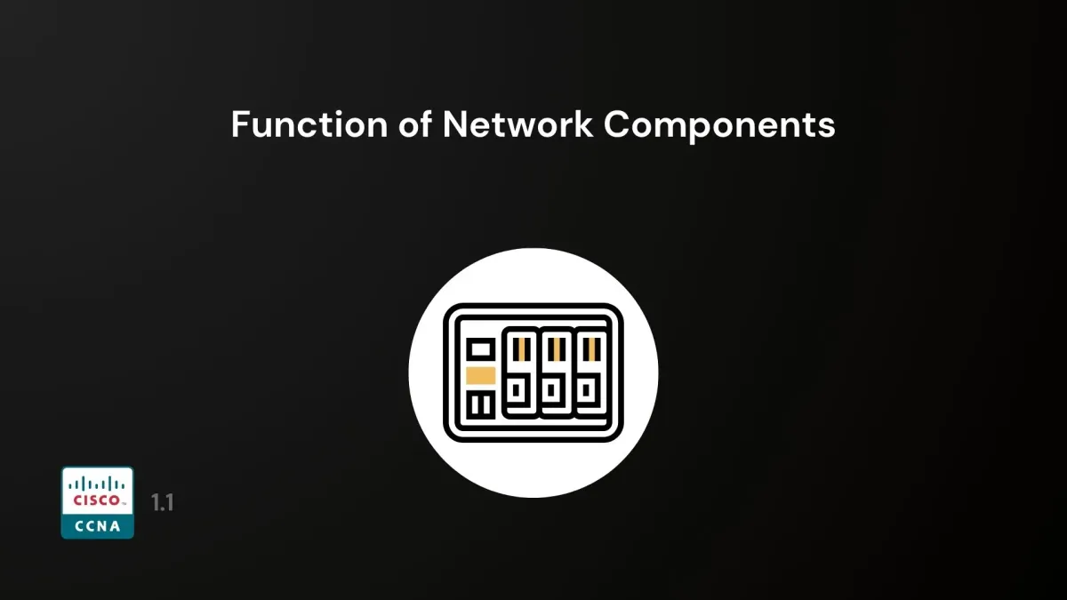 Function Of Network Components